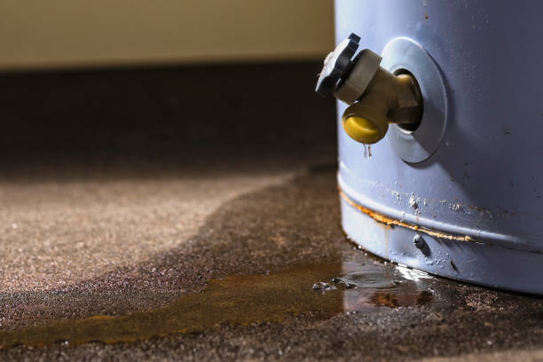 Best Flood restoration services  in Lincoln Village, CA