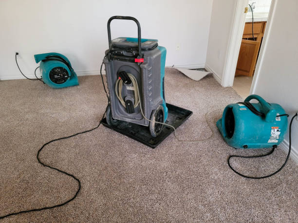 Best Carpet water damage restoration  in Lincoln Village, CA