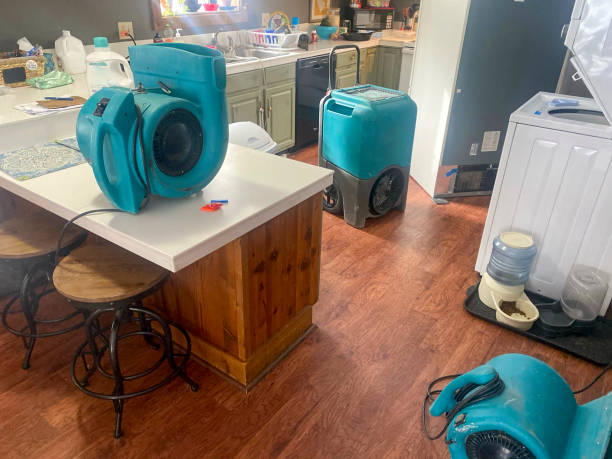 Best Water damage contractors near me  in Lincoln Village, CA