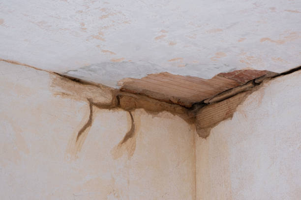 Best Local water damage restoration  in Lincoln Village, CA
