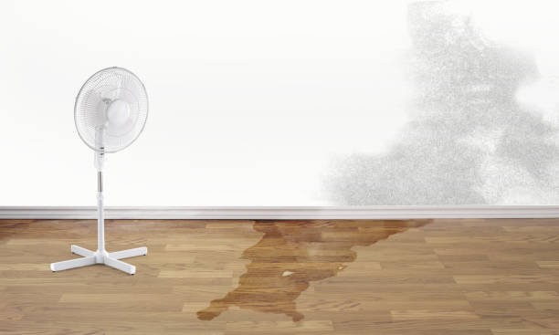 Best Ceiling water damage repair  in Lincoln Village, CA