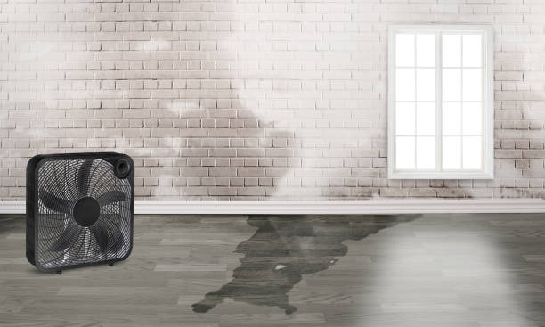 Best Carpet water damage restoration  in Lincoln Village, CA