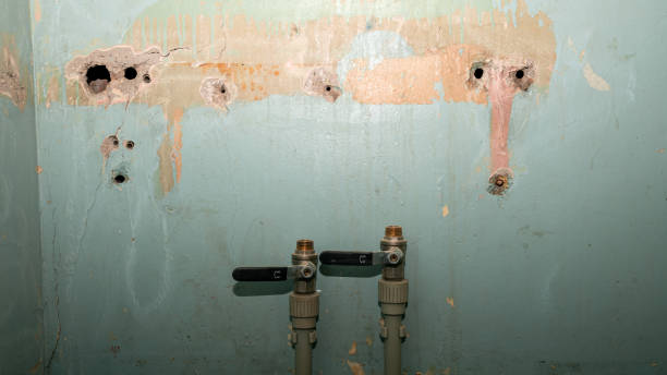 Best Flood damage cleanup  in Lincoln Village, CA