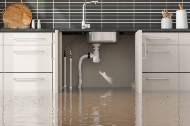 Best Water damage restoration cost  in Lincoln Village, CA